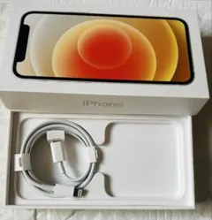 iPhone lightningケーブル タイプC