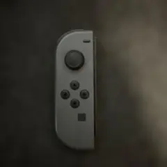 ジョイコン グレー　L 動作確認済み