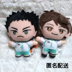 ハイキュー‼︎ みにコレ ぬいぐるみ マスコット3 岩泉一 及川徹