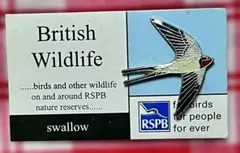 Item thumbnail for item 3ede07fe-aa20-4b1b-9ec8-4805aed6e4e9