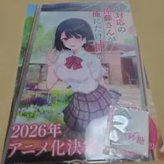 塩対応の佐藤さんが俺にだけ甘い クリアファイル 砂糖付き - メルカリ