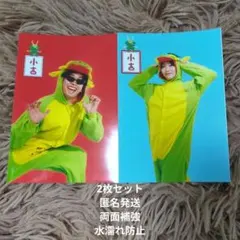 ニシコリ　ランダムおみくじ　写真