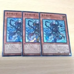遊戯王　青き眼の賢士　25thシークレットレア　３枚セット 遊戯王 青き眼の賢士 25thシークレットレア 3枚セット 青き眼の賢士