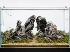 2026年最新】龍王石 親石の人気アイテム - メルカリ