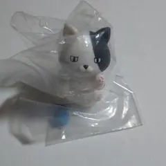 まぐねっこ ブチ ぷんすか
