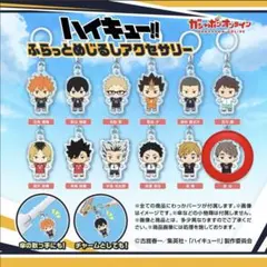 ハイキュー!! ふらっとめじるしアクセサリー 宮治