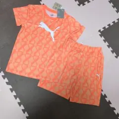 新品　PUMA　プーマ　セットアップ　160　Tシャツ　ハーフパンツ