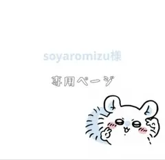 soyaromizu様 リクエスト 3点 まとめ商品