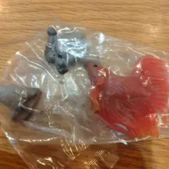 Item thumbnail for item b669d0ee-fcba-41a8-ae37-ed08f7b15e71