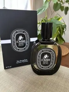 L'OMBRE DANS L'EAU ロンブルダンローのサムネイル