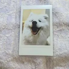 ゆちゃま様 リクエスト 2点 まとめ商品