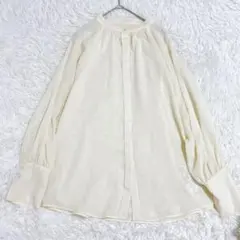 パール　シアーブラウス 長袖 イエロー　Fサイズ