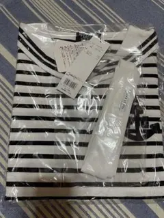 Item thumbnail for item 8d13a434-9b60-490a-ac85-44cea84cedf7