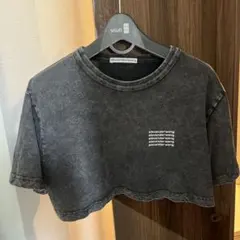 alexander wang クロップド丈Tシャツ - メルカリ
