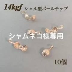 Item thumbnail for item 2b579bf9-f39f-454d-b2b4-33672fc32fd5