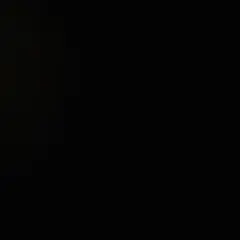 和装用バッグ草履セット ♡振袖フルセット購入の方は無料でプレゼント 
