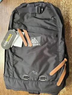 2025年最新】GREGORY バックパック ミッキーの人気アイテム