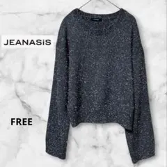 상태좋음 ★JEANASIS ジーナシス シャギーニット ラメ FREE ダークグレー