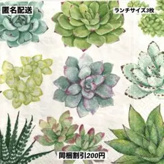 No.2434＊ペーパーナプキン＊デコパージュ3枚