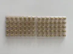 Kailh Midnight Silent V2 / Tactile 70個