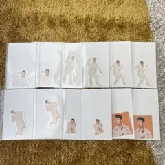 SnowMan 岩本照 フレークシール 12枚