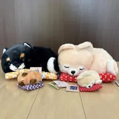 豆しば三兄弟　お座布でくつろぎ　ぬいぐるみマスコット　新品未使用