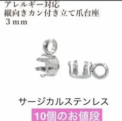 ペンダントトップ　石座　サージカルステンレス　3ミリルース用10個　シルバー