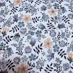 Item thumbnail for item 50042e01-7aa7-4195-8bcb-94576caffcec