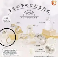 大人気　うちの子のけだまだま カプセルトイうちのこのけだまだま ガチャ シャム