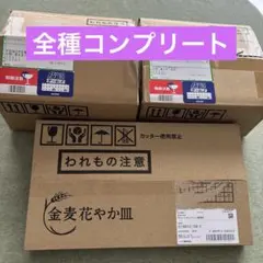 【全種コンプリート】金麦 花やか皿 12枚セット　SUNTORY