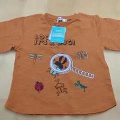 Item thumbnail for item 627e356d-dc59-4000-bf0b-93d82412bab7