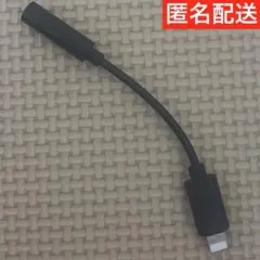 【匿名配送】iPhone 純正 Lightning イヤホン変換アダプタ