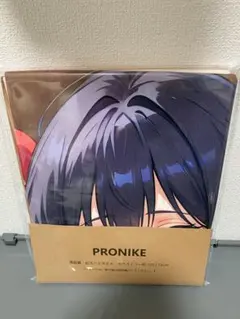 ティナ　嘆きの亡霊　バスタオル　タペストリー　27