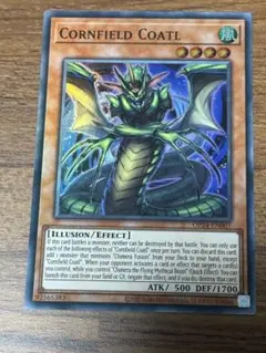 Item thumbnail for item 30db3b42-9bc6-4f37-bc1e-885d0b1e1094