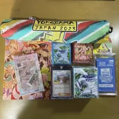 【ポケモンカードゲーム】　サプライ品　引退品