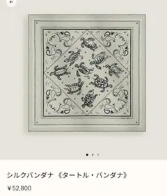 2026年最新】スカーフ エルメスの人気アイテム - メルカリ