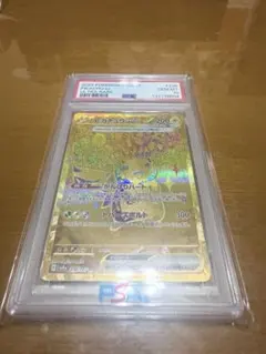 피카츄 ex UR PSA10 피카츄 ex236/187PSA10