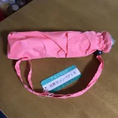 Item thumbnail for item 2d52559f-9358-453b-9f91-3d55e1971ced