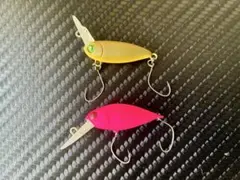 Item thumbnail for item 549d1175-bf78-46b9-81b6-eb19a47ae84e