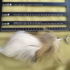 しっぽファーチャーム