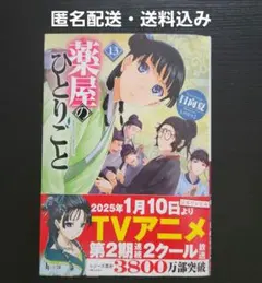 薬屋のひとりごと 13 小説