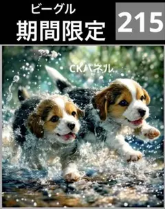 期間限定レアパネル生地 新柄 ビーグル 犬パネル生地
