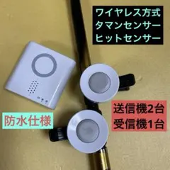 Item thumbnail for item d6dcd3ed-f48d-4653-a778-7f94887042f6