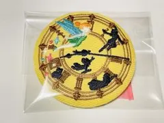 ディズニー Disney 刺繍缶バッジ 1点 ピーターパン