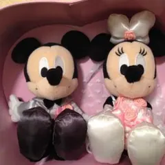 値下げ！ウェルカムドール☆ミッキー＆ミニー