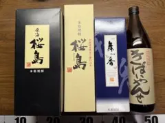 Item thumbnail for item 33f87575-50aa-4bbc-a82d-a71ff15f176e