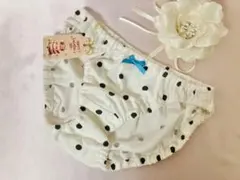 3L-483W☆新品 水玉綿 グレー インゴム ショーツ パンティ スキャンティ