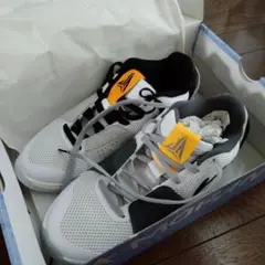 Nike バスケットボールシューズ ホワイト/グレー/ブラック　サイズ28.5