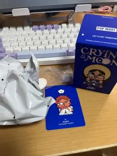 Crying to the Moon The Sleepy Sunny