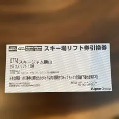 スキージャム勝山　全日　大人リフト1日券　３枚セット